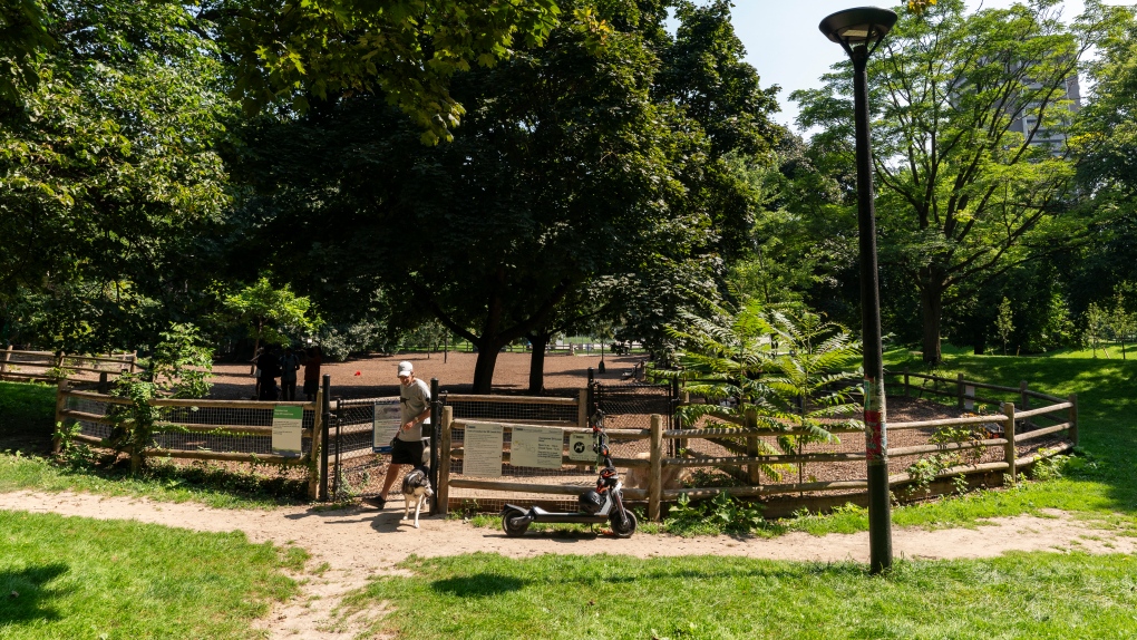 Some Toronto park crews spent hours of their week hanging out at plazas instead of cutting grass: Auditor General